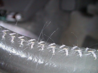 縫製糸の毛羽立ち